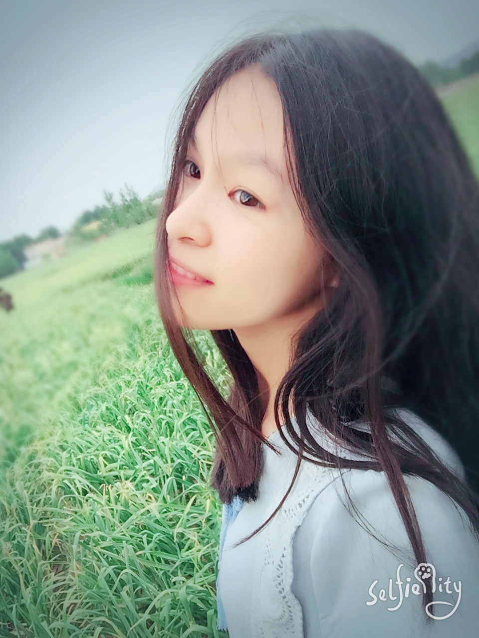 茶具介绍及用处带图片,常见的七大茶具的材质