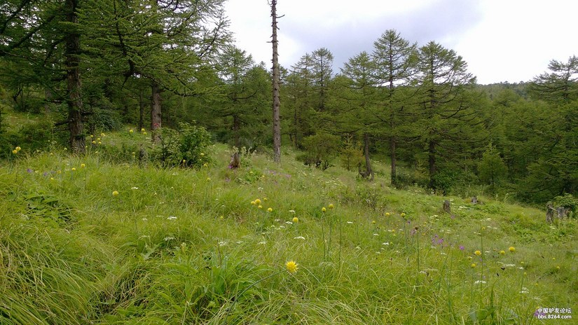 记失败的鳌太穿越——业余无线电在户外安全中的应用一例