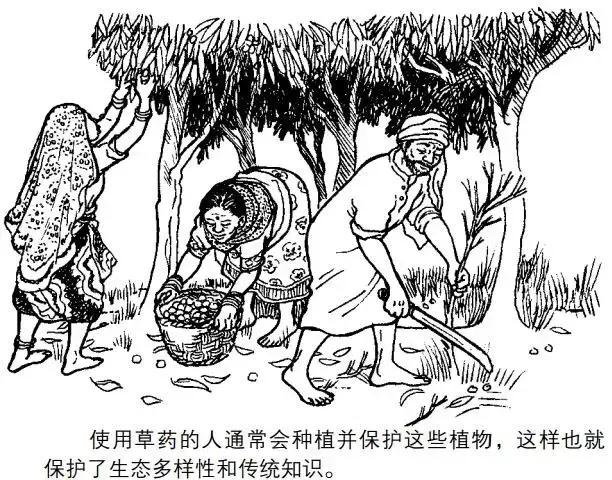 写给环境的一封信,写给社区的一封信