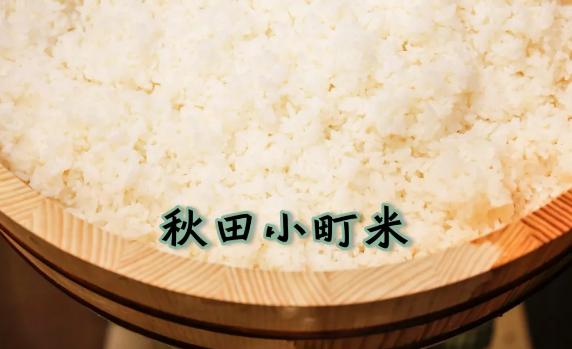 听说这些饭团是TVB艺人最爱吃的，还不快来赶紧体验！