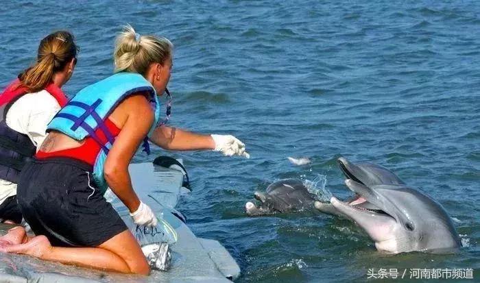 把别人骗得团团转,把一个人骗得团团转