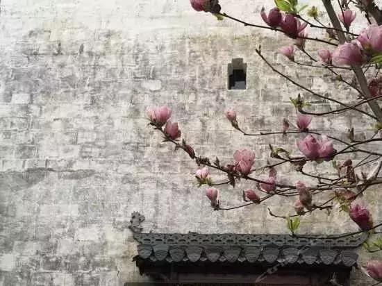 婺源顶级民宿排行榜,婺源最美民宿酒店