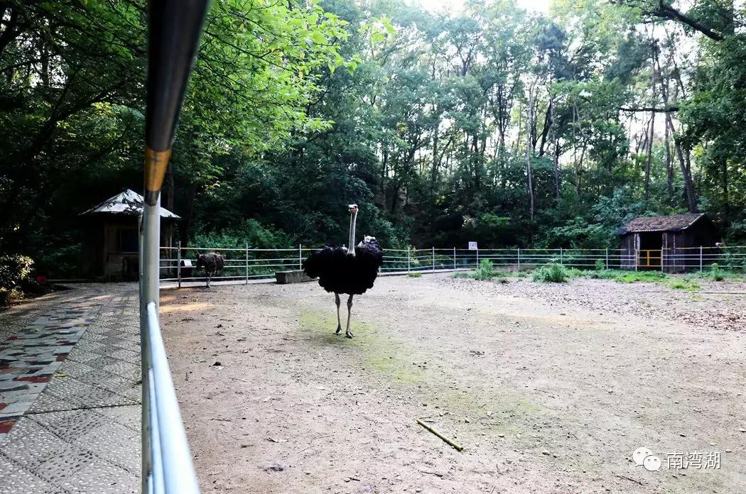 信阳十一自驾游推荐表南湾湖,十一假期旅游推荐信阳自驾游