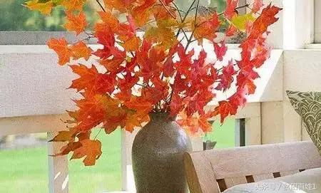 懂得拒绝才能不卑微,懂得拒绝才能做到无悔