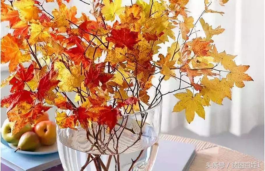 懂得拒绝才能不卑微,懂得拒绝才能做到无悔