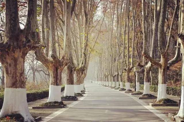 出去人从众,玄武为你安排了身边的风景