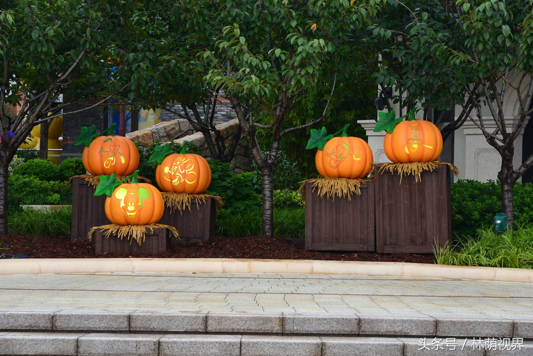 上海深度一日游,浦东金桥镇一日游