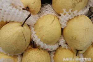 武训故里——山东聊城冠县！十大特色盘点！