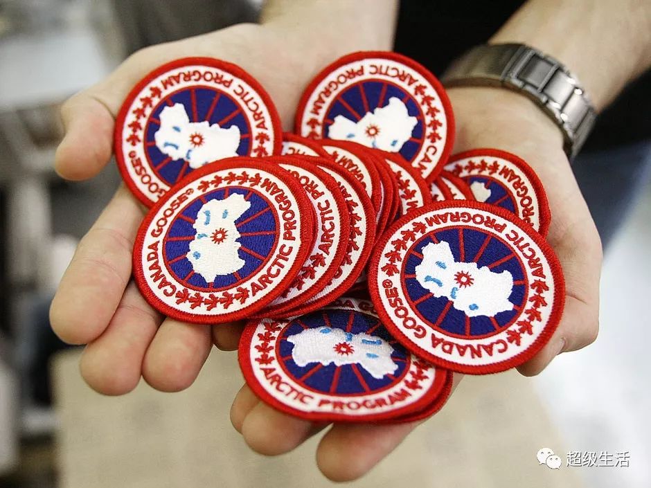 加拿大鹅卖假货,加拿大鹅打架事件