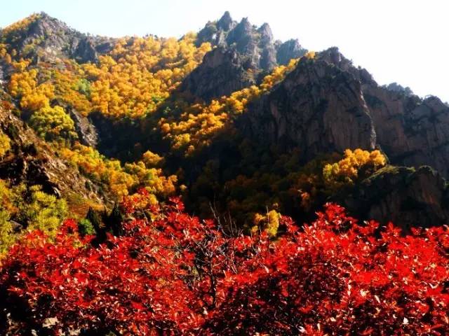 呼和浩特哪个沟秋景好,呼和浩特红石崖秋景
