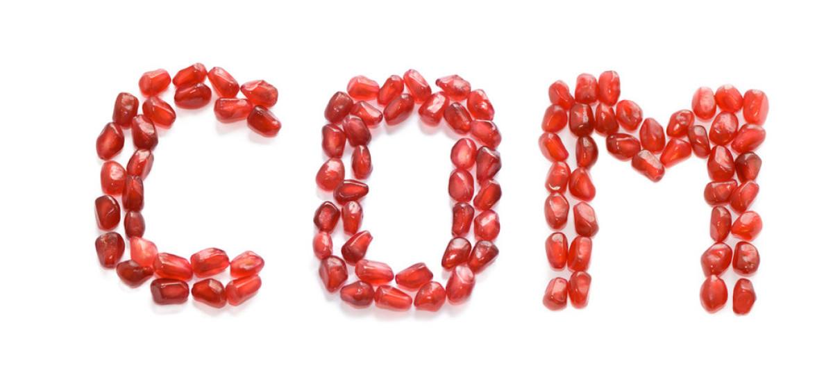 互联网域名大全,中国的互联网域名