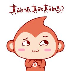 赌博行为查获涉赌违法人员17人,抓获赌博案犯罪嫌疑人工作简报