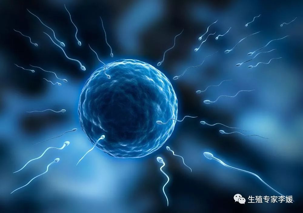 人工授精时对精子有什么要求?