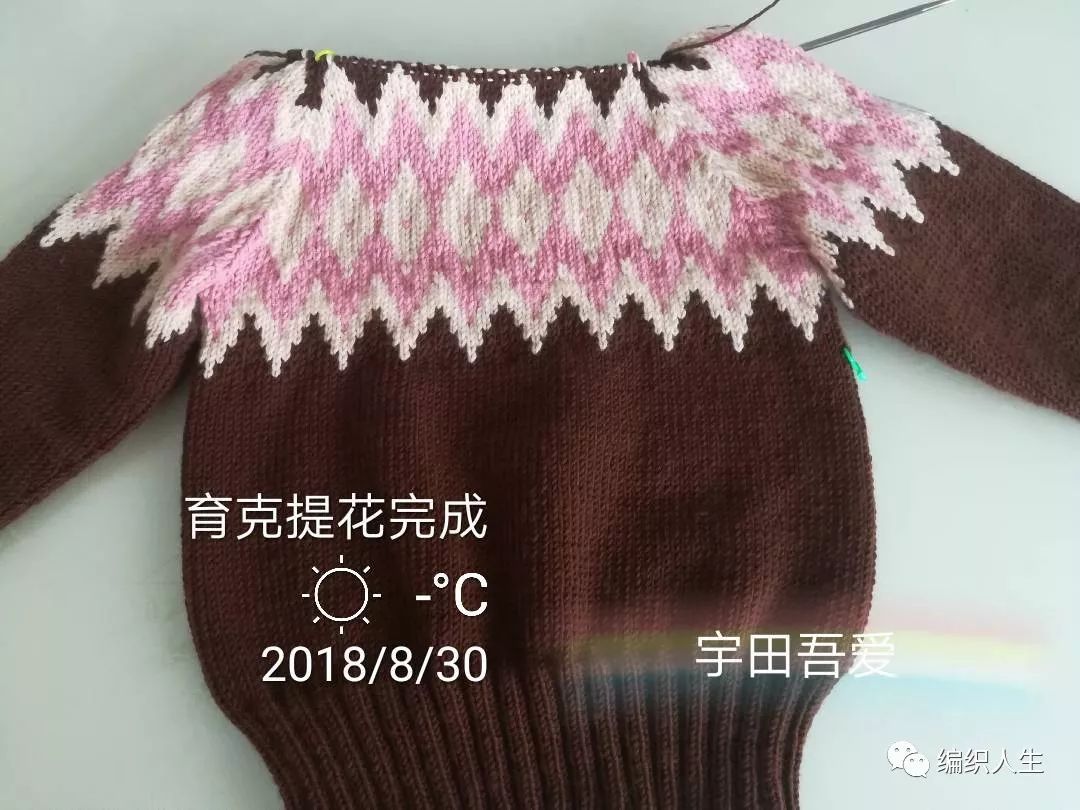 暖暖毛衣编织,儿童圆肩毛衣简单提花