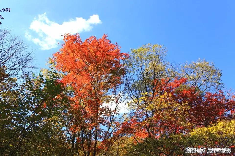 佳能ef35mm1.4l一代,置换佳能5d3