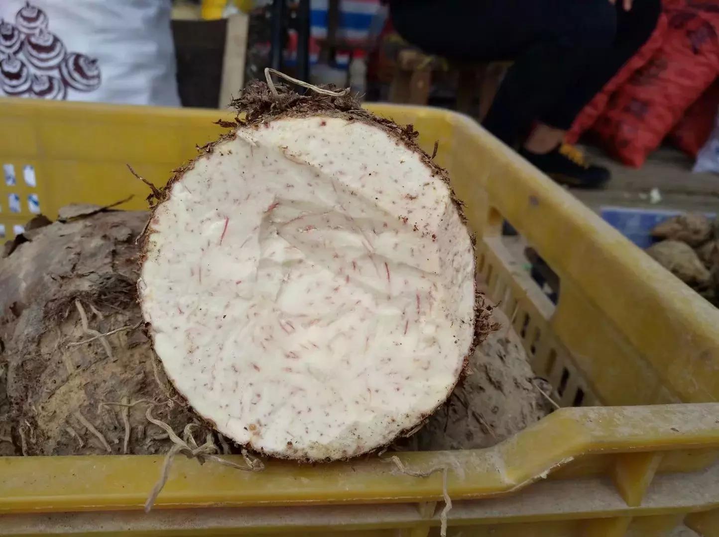 一路向南8,一路向南图