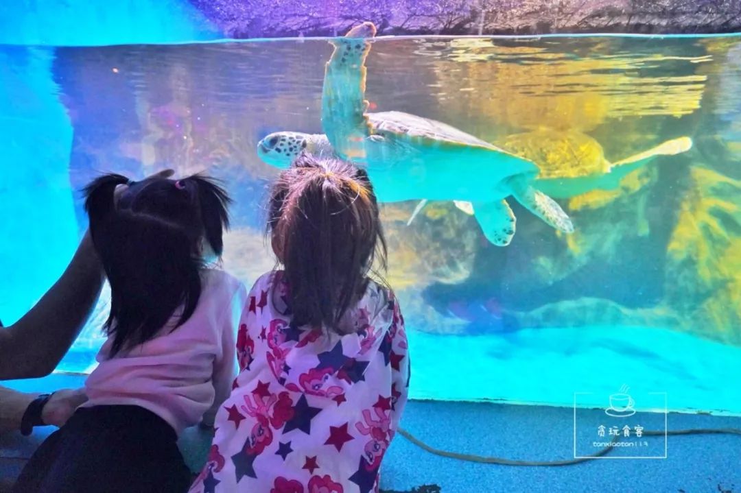 秦皇岛旅游攻略夜景,秦皇岛旅游攻略这几个景点必去