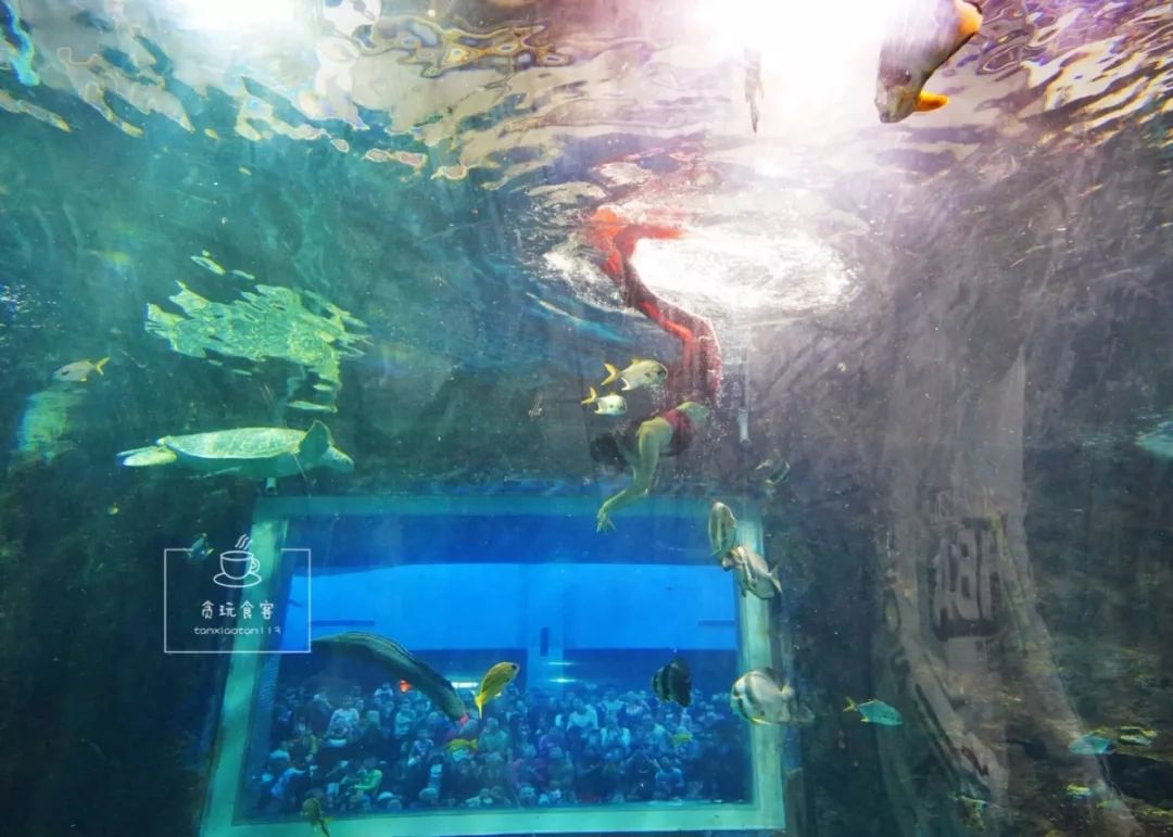 秦皇岛北戴河最值得玩5个地方,秦皇岛北戴河好玩的地方免费