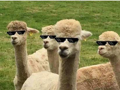 结核病人能坐飞机吗,得过结核病人可以坐飞机吗