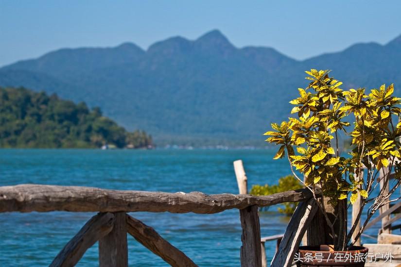 不去普罗旺斯和柬埔寨,千元飞到泰国看最美向日葵田和高棉遗址