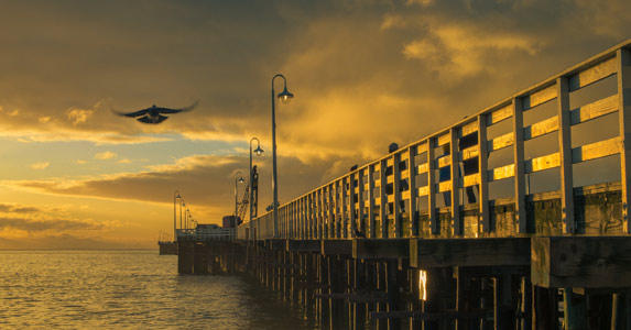 老公失踪二年我怎么离婚,丈夫失踪多少时间可以再婚