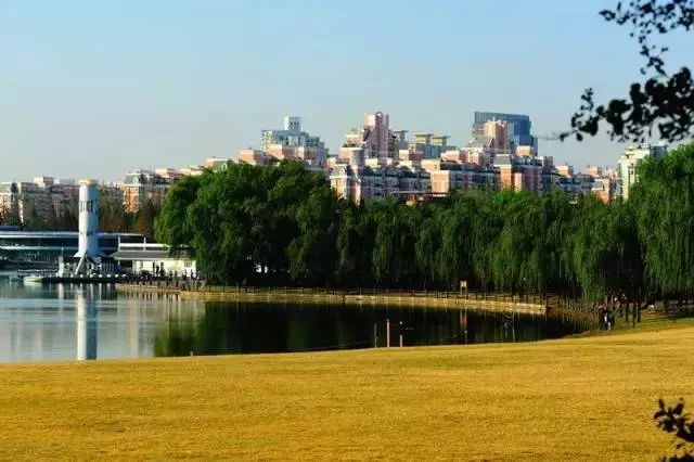 上海地铁的免费景点,上海地铁9号线沿线景点