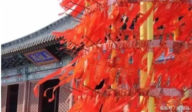 威海赏樱最佳打卡地,威海几月份去风景最好看