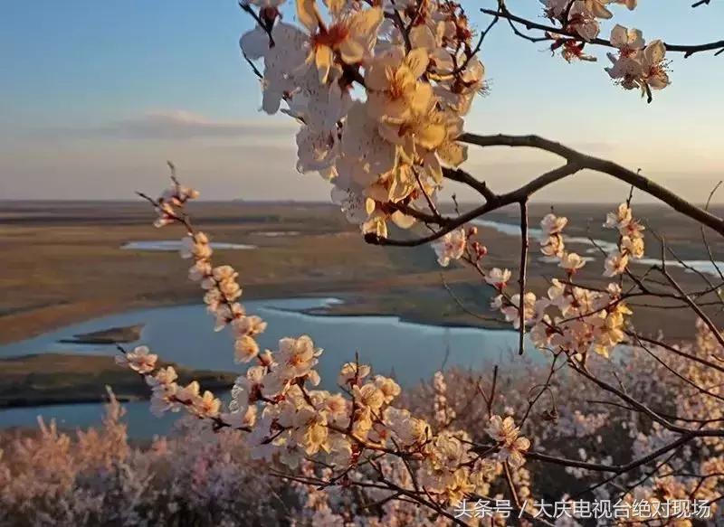 大庆这个城市未来会有发展吗,大庆哪个县发展潜力大