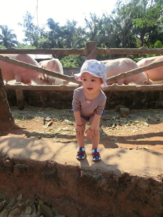 全家人三亚旅游,全家人游海南三亚旅行照片