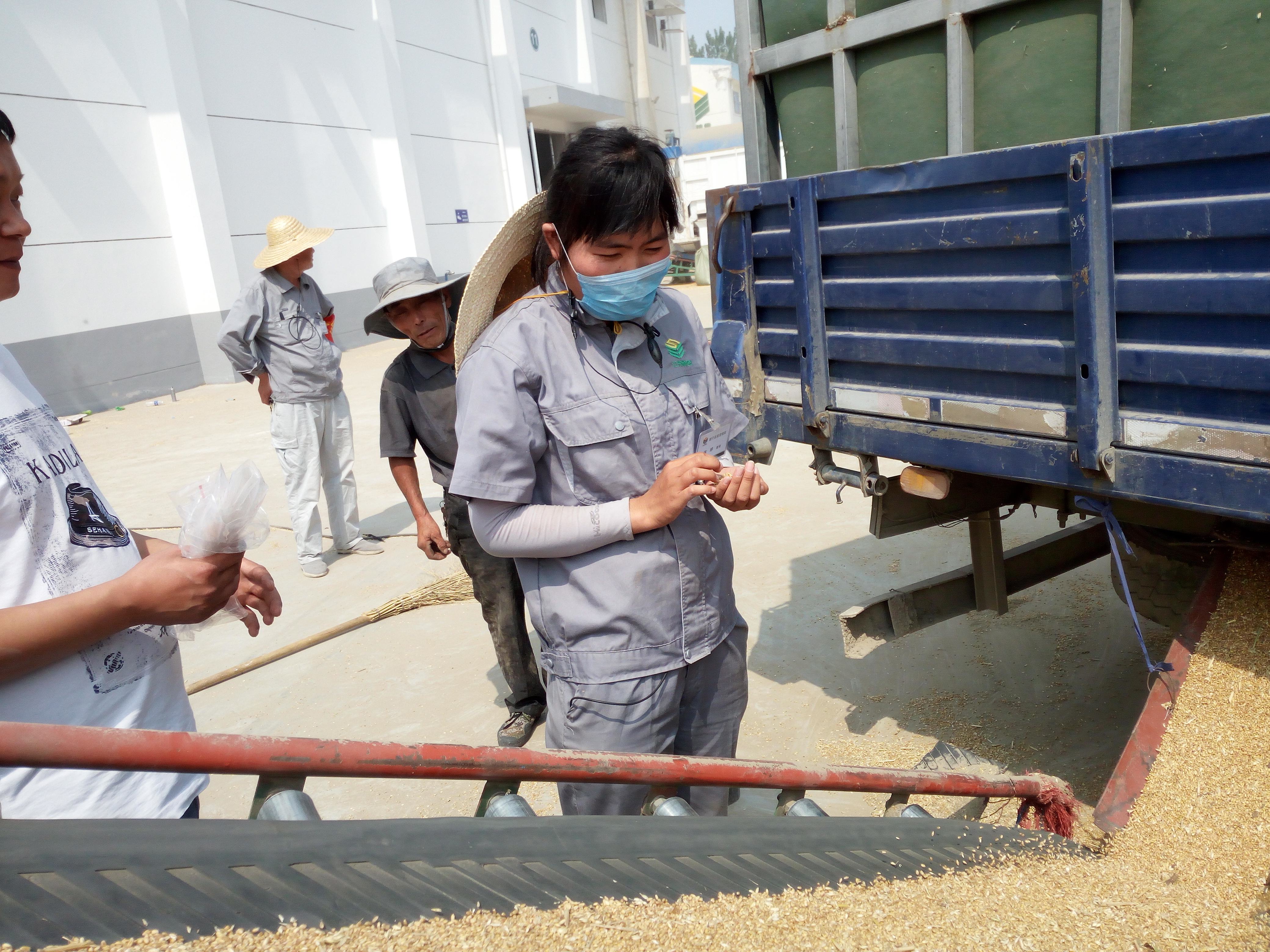 2019克明面业五谷道场销量,五谷道场和克明面业关系
