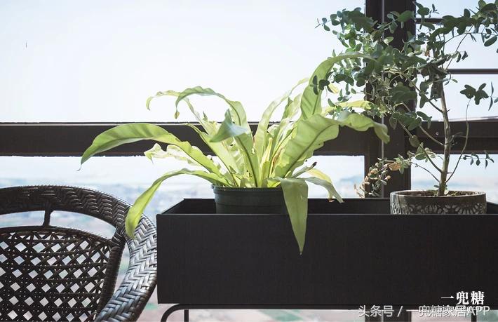 五口之家的房间,五口之家60平复式