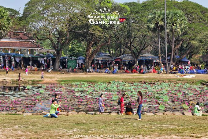 柬埔寨日常饮食第一天,柬埔寨真是个美食非常多的地方