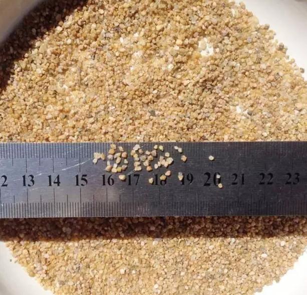 花儿除虫的妙招,花儿生虫用什么药