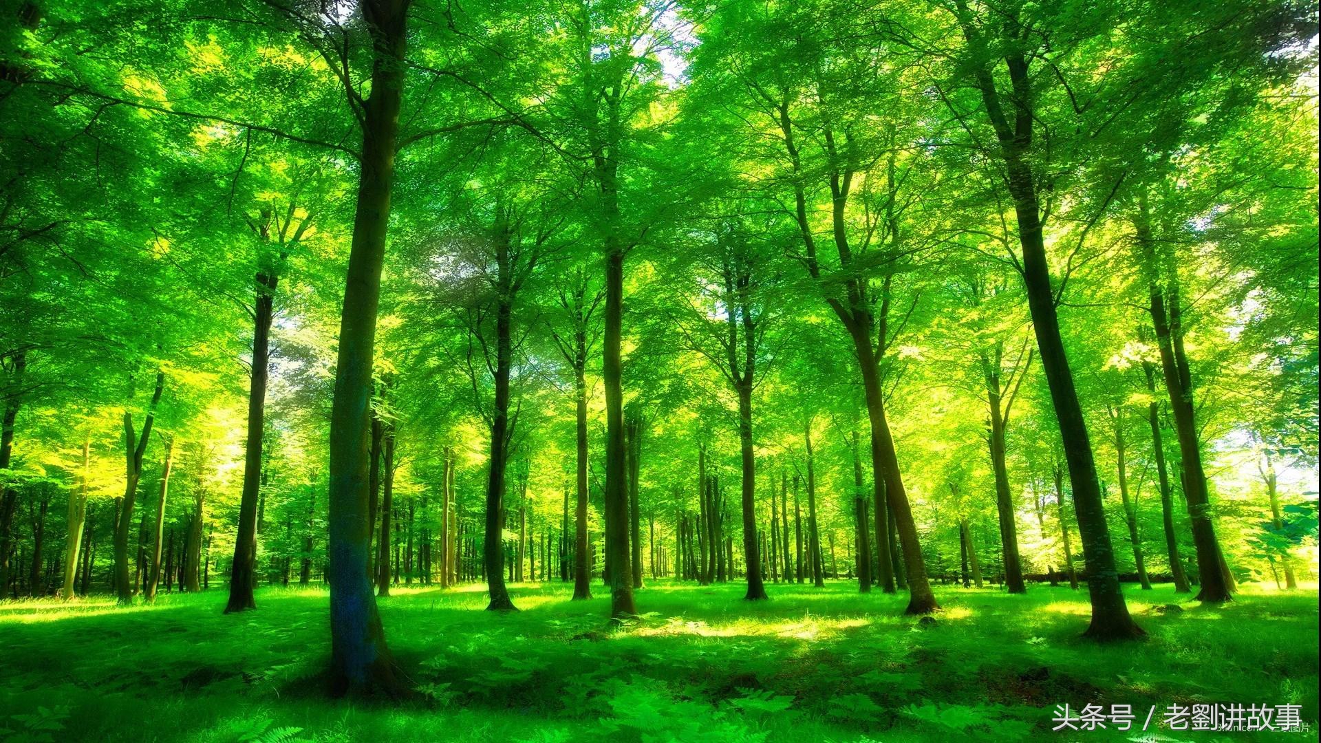 地理中考知识点归纳总结资料推荐,中考地理必背知识点归纳