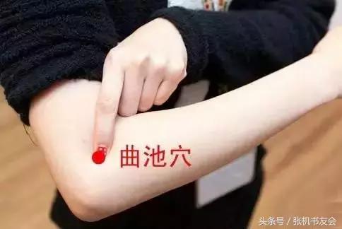 道家论述奇经八脉的书,奇经八脉与道家修炼