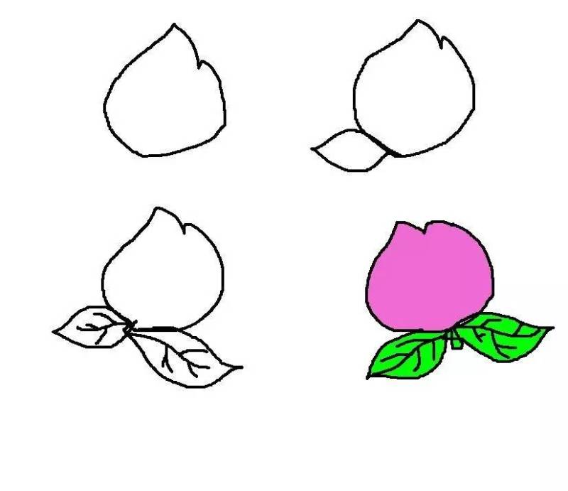 英语水果手抄报简笔画,紫色水果有哪些简笔画