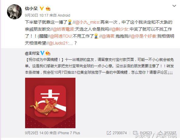 300w的锦鲤,300w锦鲤