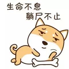 画皮师化妆品,画皮师遇到画皮师会怎么样