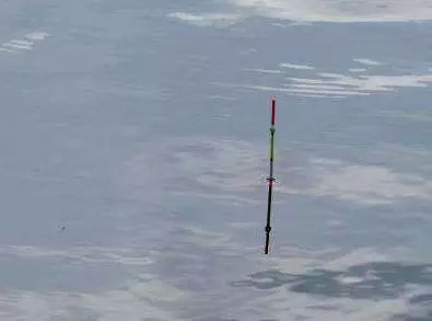 新手必看钓鱼小常识,微信最强钓鱼人新手攻略