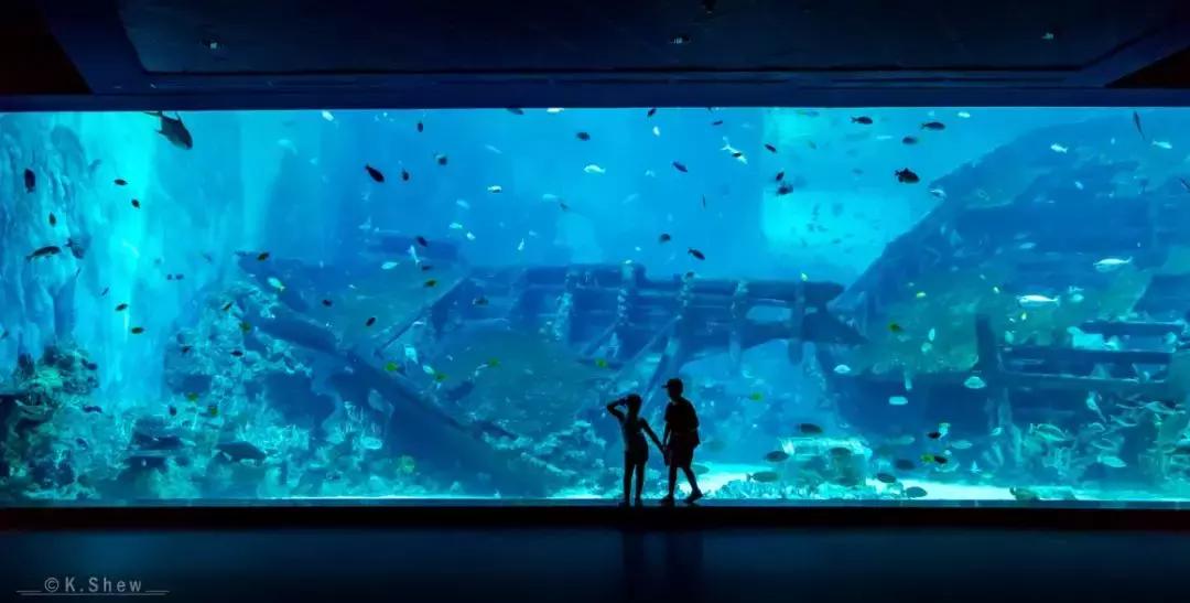 深扒完中国锦鲤的免费旅行清单之后,我也没有那么羡慕了哼!