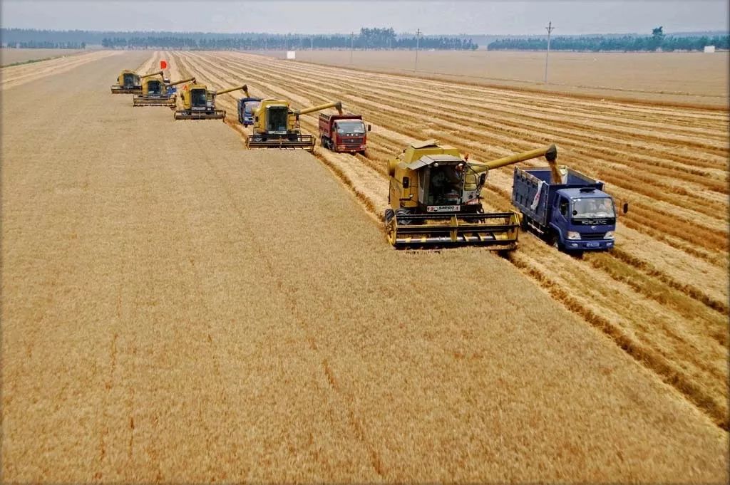 大局已定未来五年咋样,大局已定未来可期