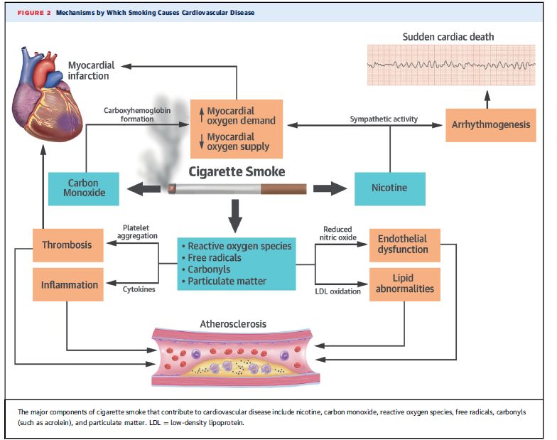 对*草烟**大声说“不”，吸烟伤肺更伤“心”！