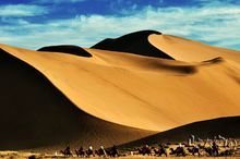 樊梨花生平事迹20字,樊梨花生平事迹