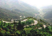 樊梨花生平事迹20字,樊梨花生平事迹