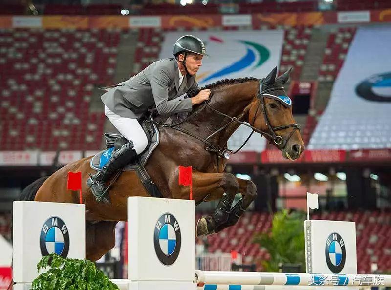 大师赛喊你来吃马术圈最贵狗粮