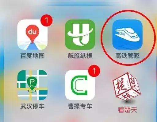 12306显示没票去窗口能买到吗,12306没票了其它软件抢的是啥票