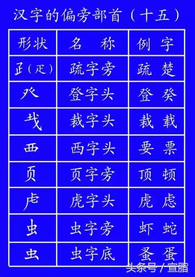 权威专家教你正确的汉字笔顺技巧,专家揭秘汉字正确的笔顺技巧