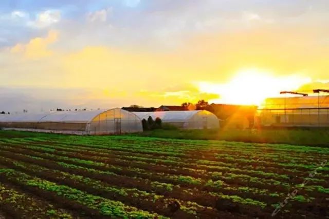 郑州一套房的钱，在其他地方能买啥？看完惊掉了下巴~