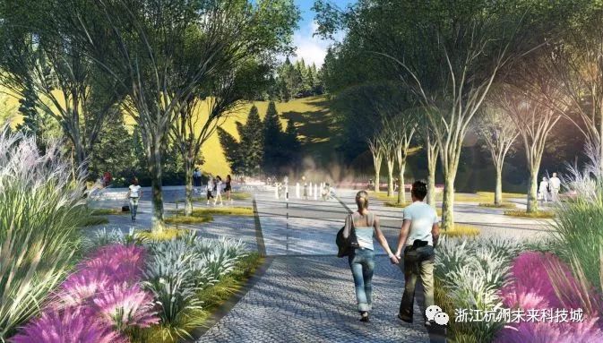 公园平面设计图100张,杭州余杭建专业足球场