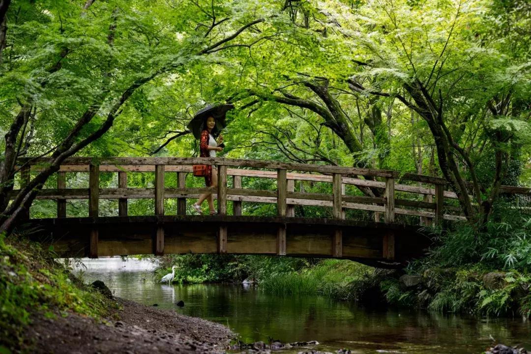 一台高性能便携笔记本对于旅行摄影有多重要从我的XPS说起